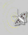 Butterfly in a Typhoon logo